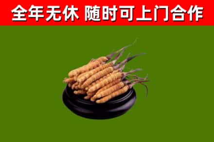 德惠市烟酒回收冬虫夏草.jpg